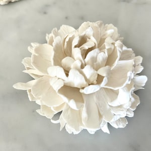 May include: A white ceramic peony flower, a decorative home accent.