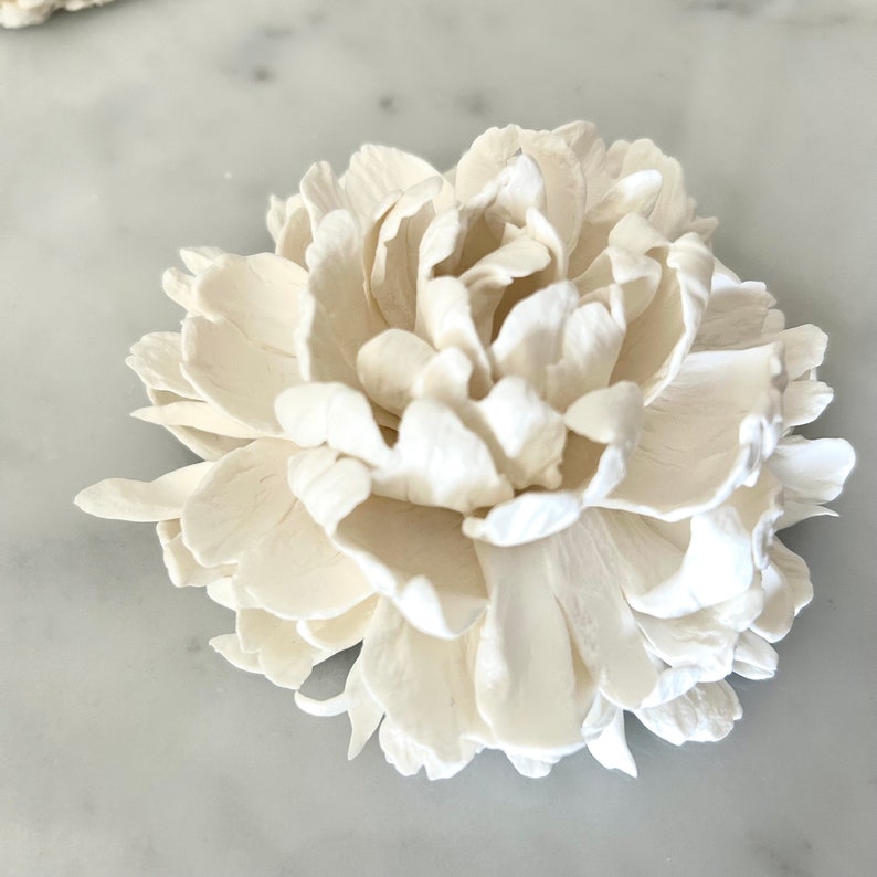 May include: A white ceramic peony flower, a decorative home accent.