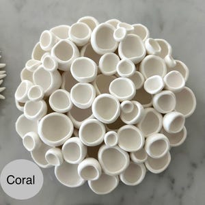 May include: A white ceramic coral sculpture with a textured surface. The sculpture is composed of numerous rounded, open-faced shapes of varying sizes, clustered together. The word "Coral" is printed in a gray box at the bottom left.