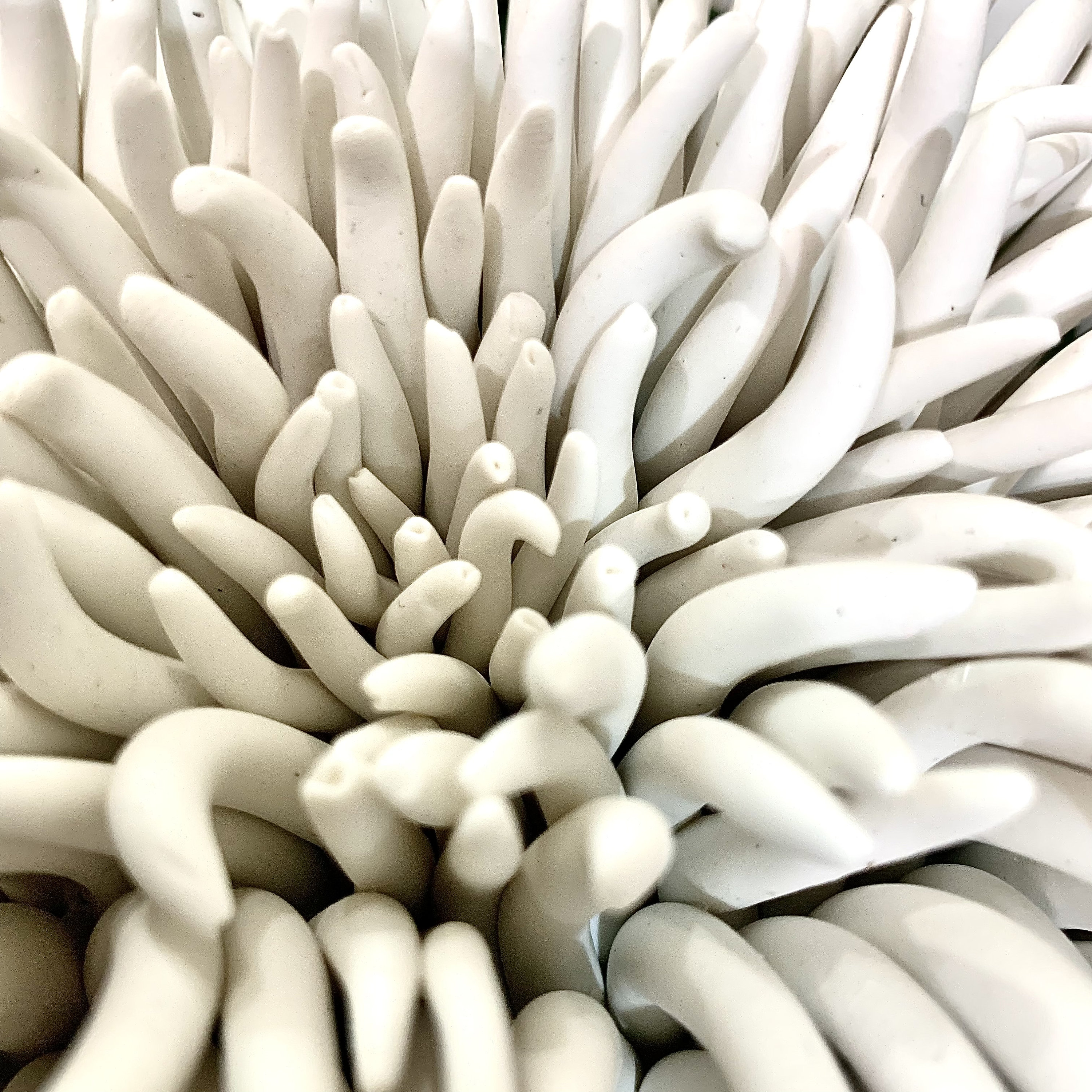 3D Wall Art Urchin Sea Wall Sculpture Beach Wall Decor Etsy UK