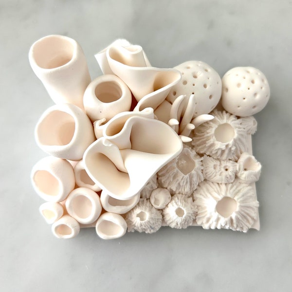 3D Sea Sculpture Tabletop, Beach Sculpture,Coral Reef Sculpture, White Home Decor, Ocean Barnacle, Modern Minimalist, Housewarming Gift.