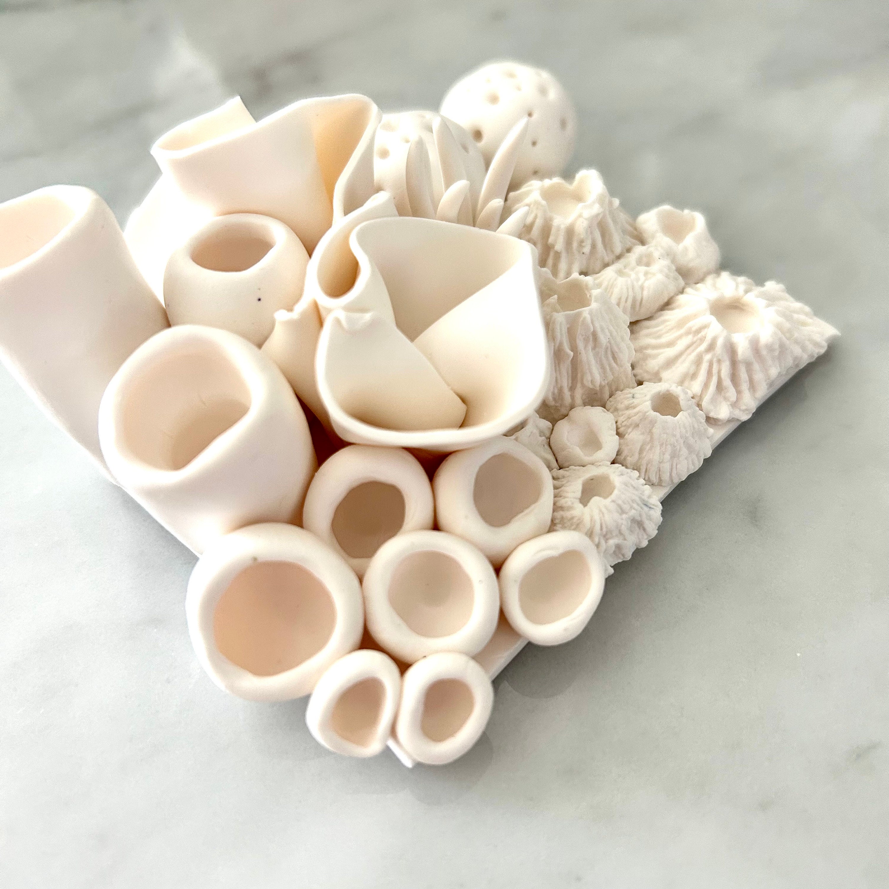 P13希少品の海の中大きいの貝彫刻置物 置物
