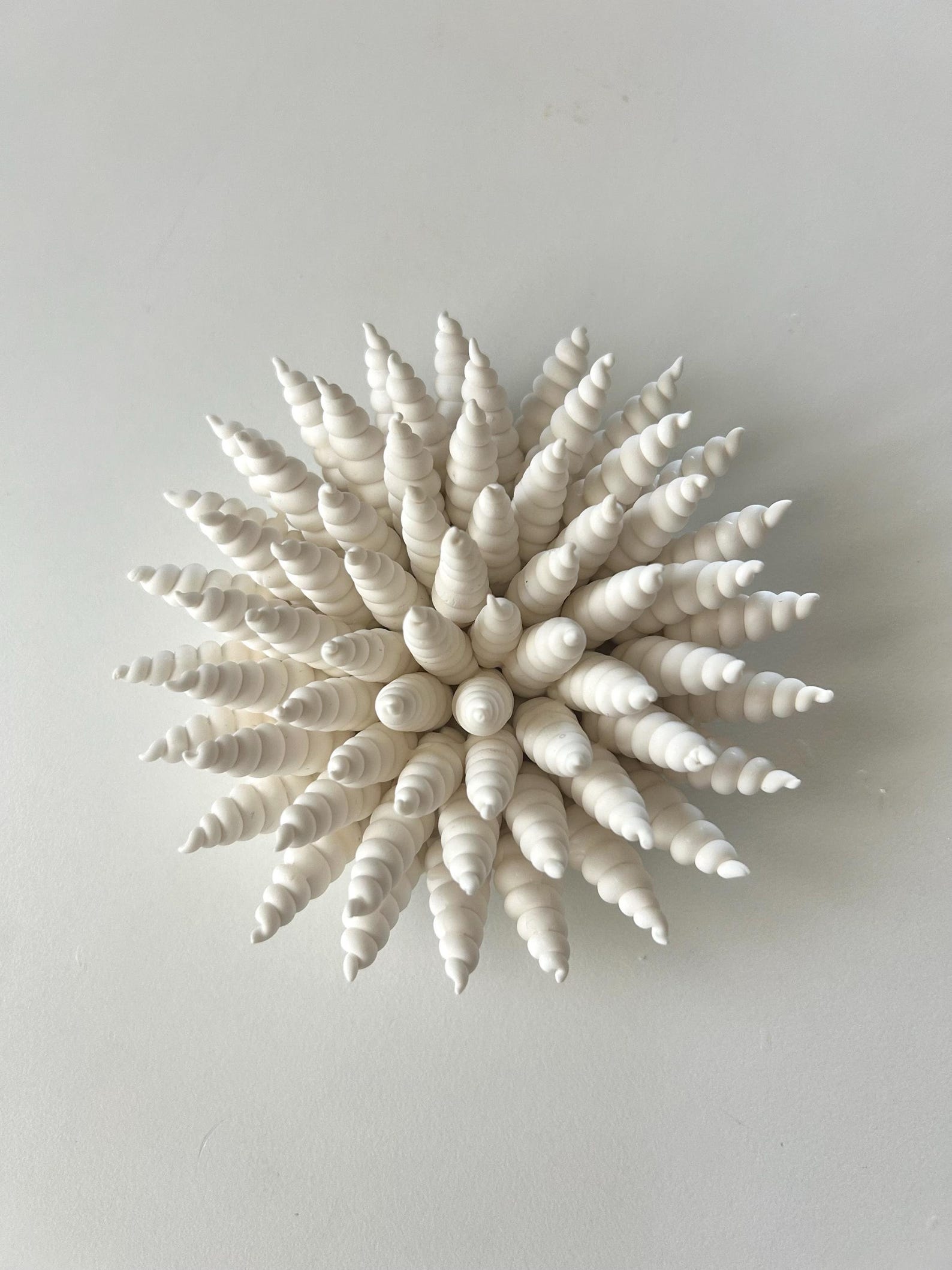 Sea Shell Clay Wall Sculpture: Coastal Beach Decor, 4x4 Inch - Etsy