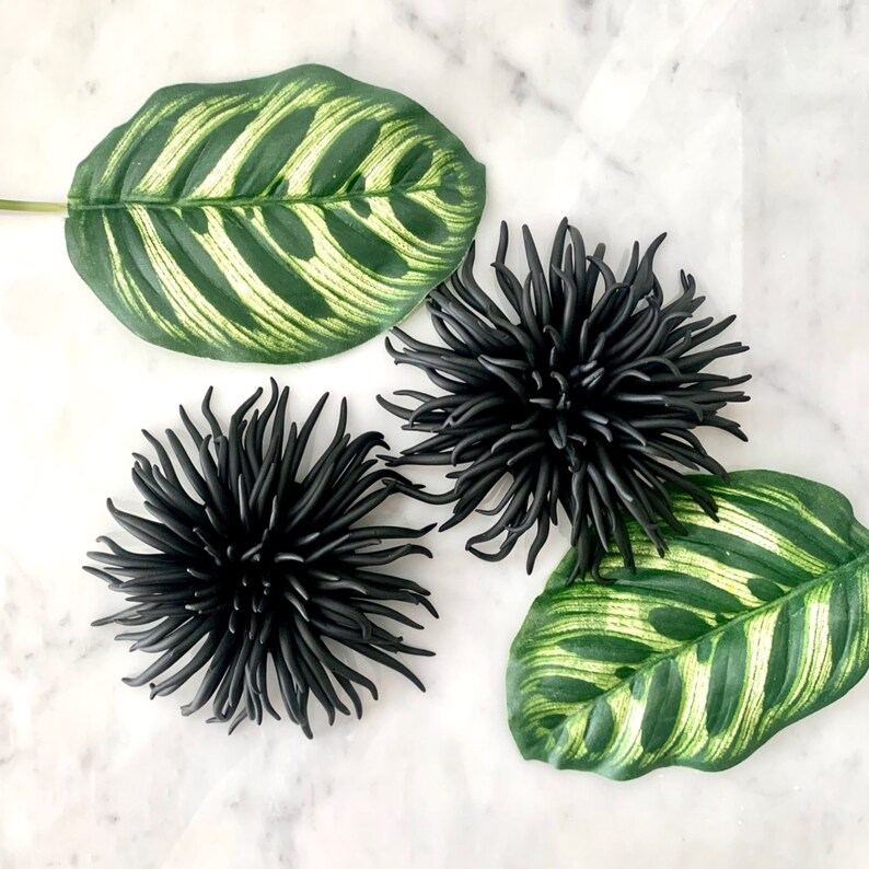 3D Wall Art Urchin Sea Wall Clay Sculpture Beach Wall Decor Etsy