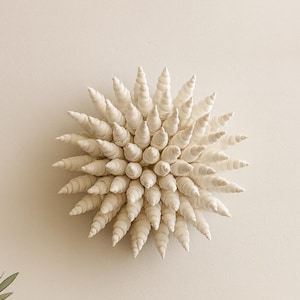 Sea Shell Clay Wall Sculpture: Coastal Beach Decor, 4x4 inch