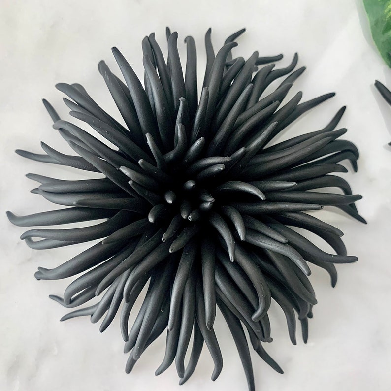 3D Wall Art Urchin Sea Wall Clay Sculpture Beach Wall Decor Etsy