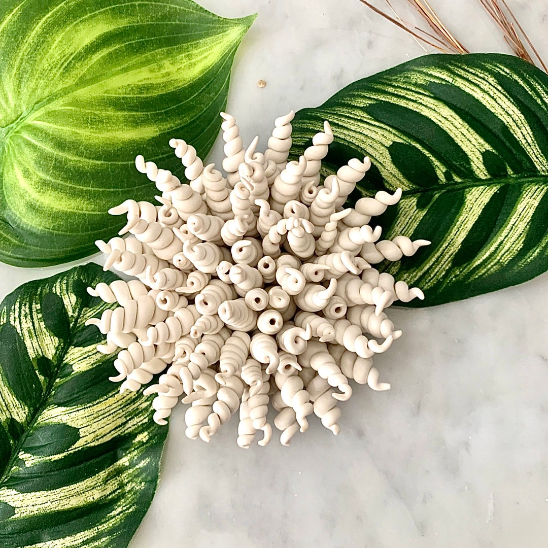 Sea Shell Wall Sculpture Beach Decor Costal Wall Art Clay Wall Hanging