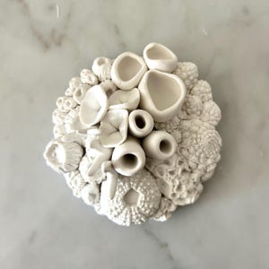 3D Sea Sculpture Tabletop, Beach Sculpture,coral Reef