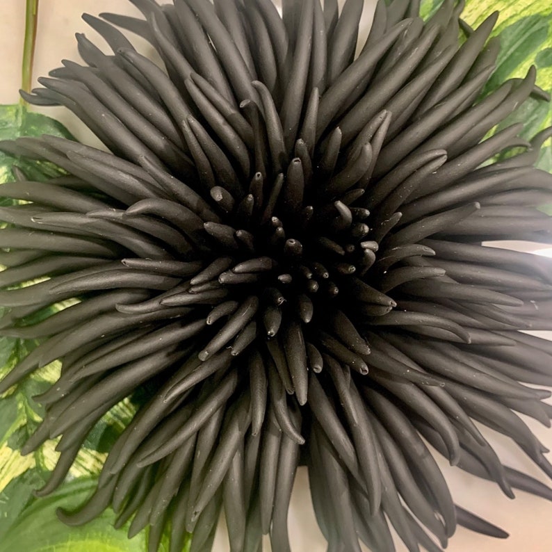 3D Wall Art Urchin Black Wall Sculpture Beach Themed Wall Art Etsy