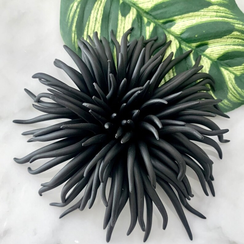 3D Wall Art Urchin Sea Wall Clay Sculpture Beach Wall Decor Etsy