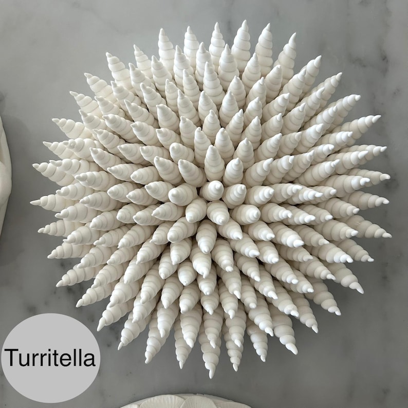 May include: A white, starburst-shaped sculpture composed of numerous, spiraling, cone-shaped elements. The sculpture has a textured surface and is labeled "Turritella" in the lower left corner. The piece is likely ceramic or a similar material, and is displayed against a neutral background.
