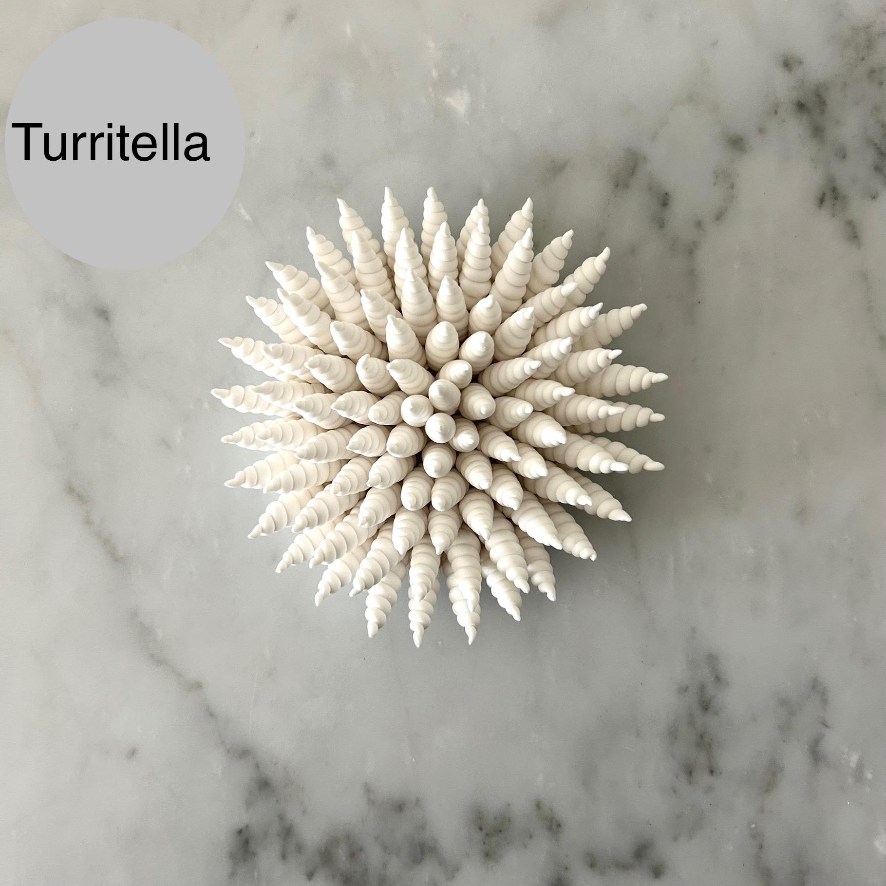 Handmade White Clay Coral Wall Art, Coastal Decor, Set of 6 - Etsy