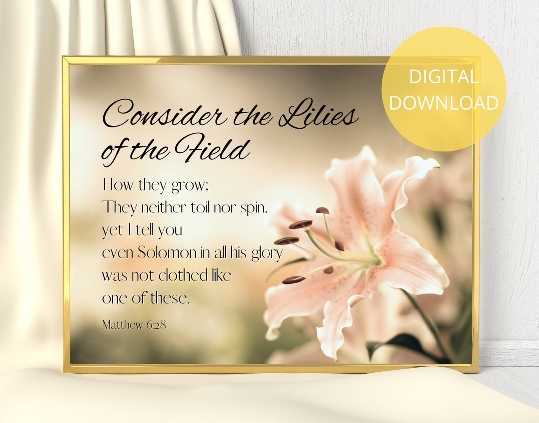 Consider the Lilies Consider the Lillies Matthew 6 28 Luke 12 27 Lily