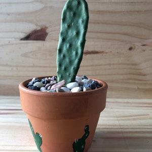 Hand painted Terracotta planter with baby cactus