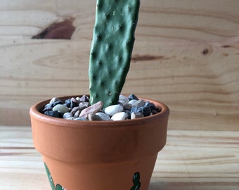 Hand painted Terracotta planter with baby cactus