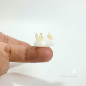 Adopt a Tiny Sea Bunny Sculpture Figurine | Unique Mini Nudibranch Sea Slug Collectible - Perfect Diver Gift or Mermaid Gift