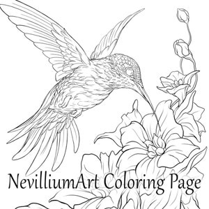 Kolibri Flug Malseite • NevilliumArt • Sofort Download Druckbare JPEG & PDF Dateien