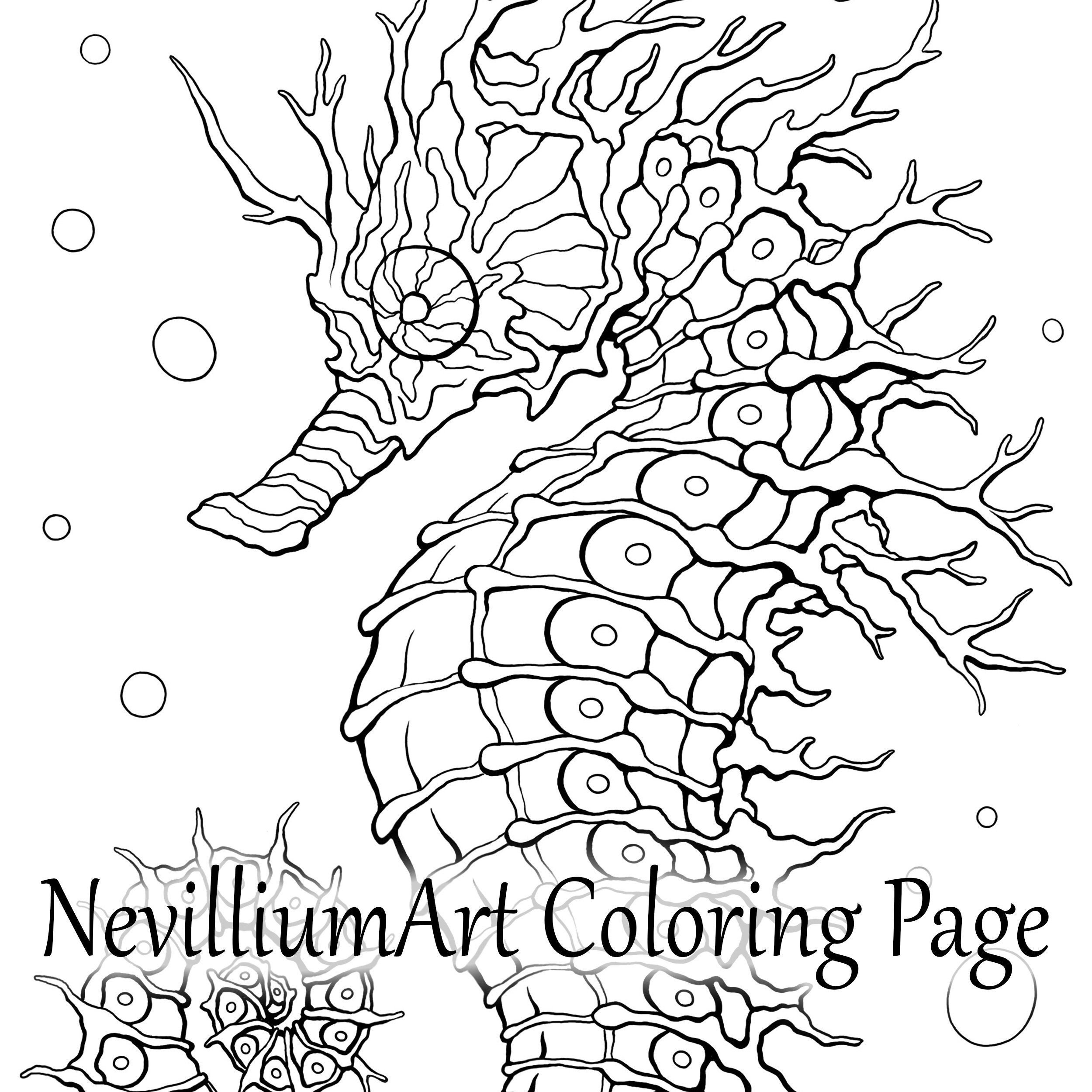 Sea horse coloring vector for adults Stock Vector by  ©toricheks2016.gmail.com 105366484, image size:2500x2500