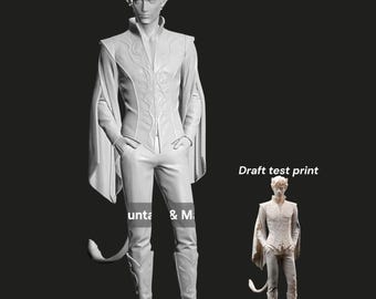 Fae Prince STL File | Fantasy Royal 3D Print Model | Book Boyfriend | Commercial License Included
