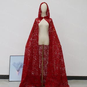 Lady Gaga Red Lace Costume - Etsy