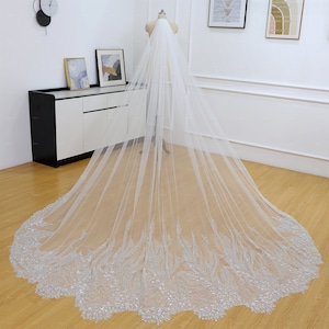May include: A white bridal veil with a silver beaded lace trim. The veil is long and flowing, with a delicate pattern.