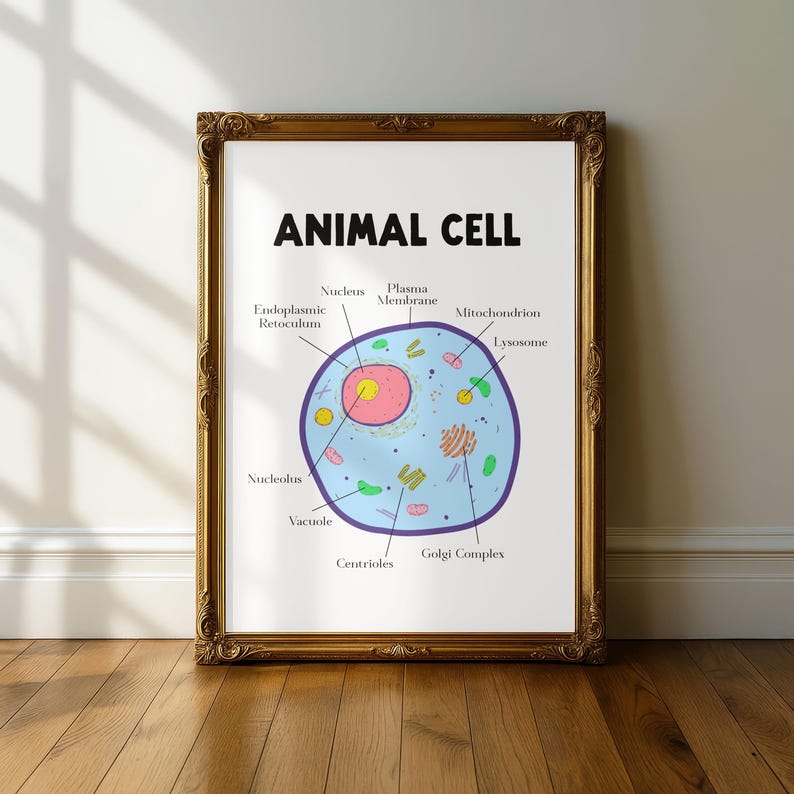 Labeled Plant & Animal Cell Biology Posters | Educational Science Wall ...