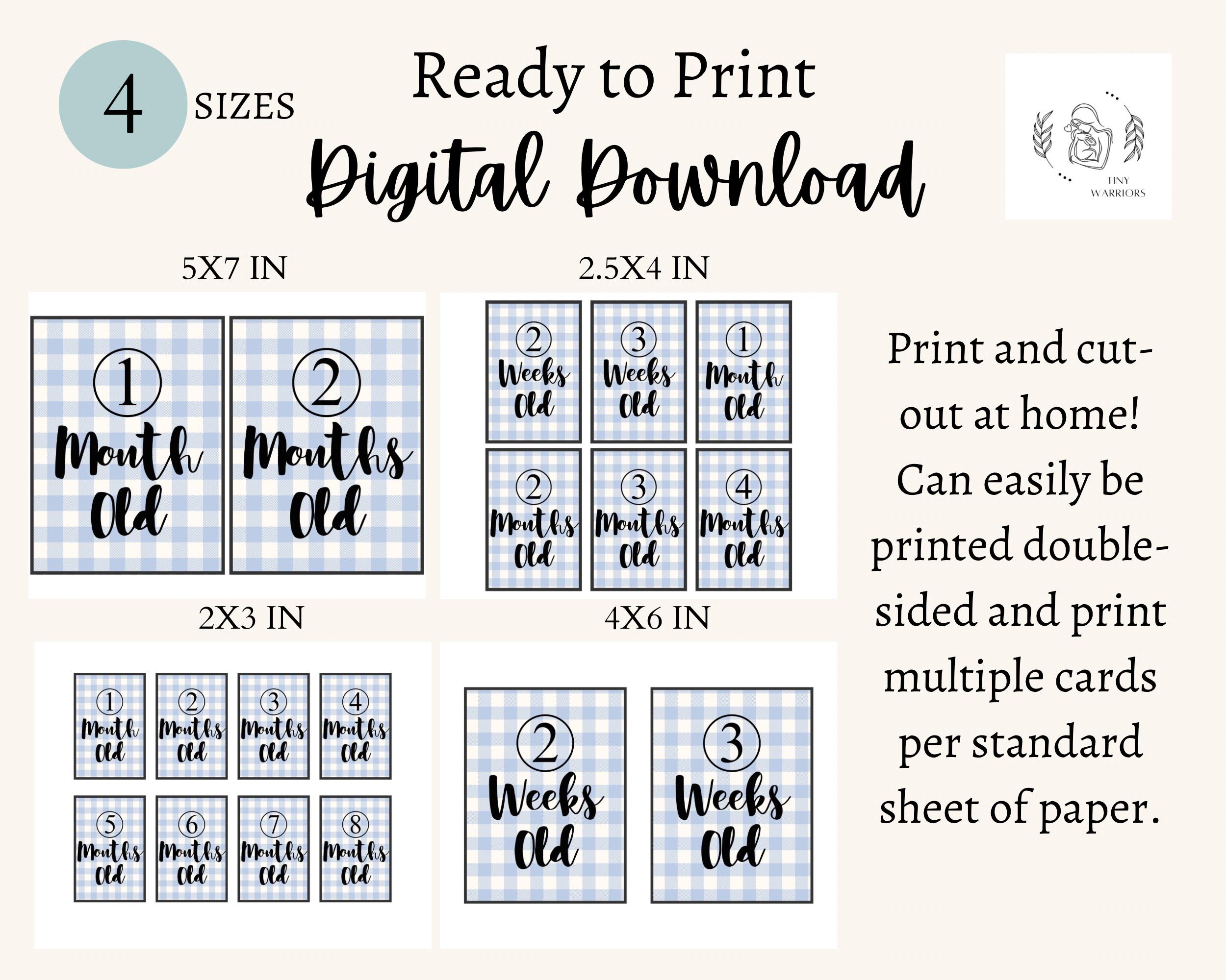 NICU Milestone Cards: Blue Gingham Printable for Preemie Boys | First ...