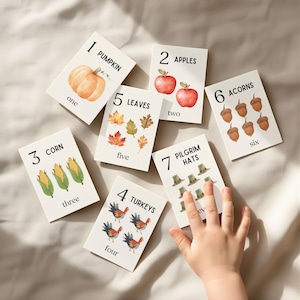 May include: Educational flashcards featuring autumn-themed illustrations. The cards display numbers 1-7 with images of a pumpkin, apples, corn, turkeys, leaves, acorns, and pilgrim hats. Each card has a number and a corresponding word.