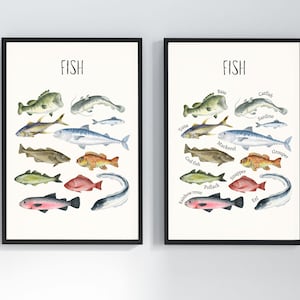 Watercolor Fish Educational Wall Art Prints | Marine-Themed Home Decor | Colorful Fish Art for Kids Room | Aquatic Species Ecosystem Unit