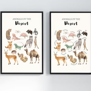 Woestijndierenprint | Educatieve Montessorikunst aan de muur | Boho-woestijn kinderkamerdecoratie | Gelabelde dierenidentificatiekaart voor kinderen | Biomen