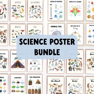 Puede incluir: Una colección de carteles científicos enmarcados, que incluyen temas como aves, reptiles y criaturas marinas. Los carteles presentan ilustraciones coloridas y texto educativo. El texto central dice "SCIENCE POSTER BUNDLE".