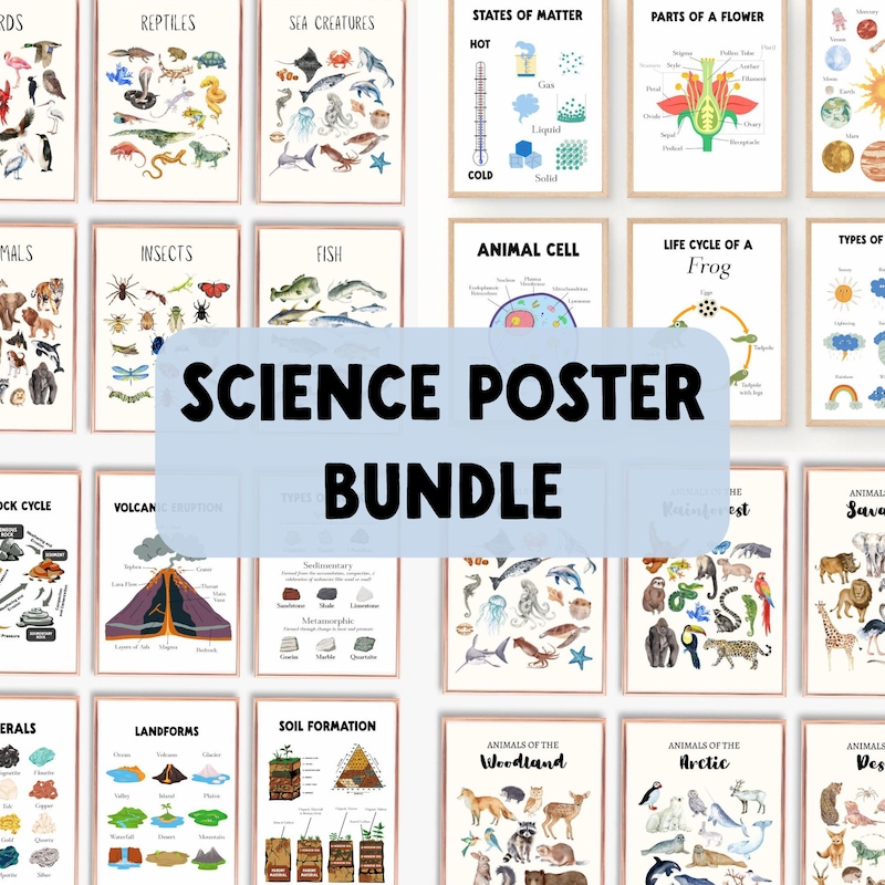 Biology Posters - Etsy