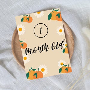 Tarjetas de hitos del primer año / Tarjetas imprimibles de margaritas / Recuerdos para bebés prematuros / Tarjetas de cuna para la UCIN
