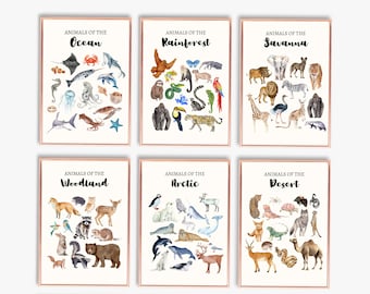 Animal Educational Prints Set of 6 | Homeschool Printable | Animal Classifications | Nature Montessori | Woodland Nature Prints Playroom