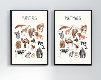 May include: Two framed prints featuring watercolor illustrations of various mammals, including a giraffe, tiger, and koala. The word "Mammals" is written at the top of each print. The prints are displayed against a white background.