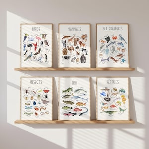 Educatieve dierenclassificatieafdrukken | Montessori homeschool natuurkunstposters voor speelkamer
