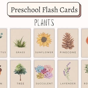 Cartes-éclair sur les plantes, les herbes et les fleurs botaniques | Unité d'enseignement à domicile Montessori | Chasse au trésor dans la nature | Étude de la nature de Charlotte Mason