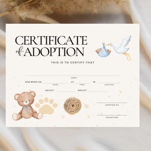 Geboorteakte teddybeer | Adopteer een beer-adoptiebord | Babyshower cadeau beer | Teddybeer feestvarken meisje | Gunst 1e verjaardag
