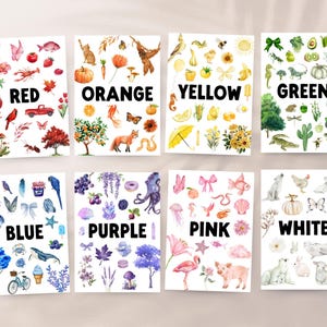 Colors in Nature Toddler Flashcards | Color Recognition Cards Printable | Toddler Color Sorting Rainbow Colors | Nature Scavenger Hunt