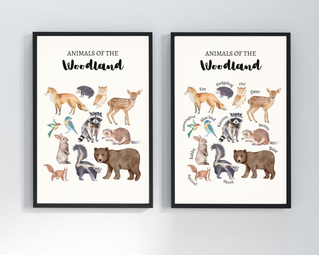 Woodland Forest Animals Educational Wall Art | Nature Nursery Print ...