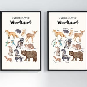 Arte mural educativo con animales del bosque, impresión para guardería con temática natural, decoración para guardería forestal, póster Montessori de animales salvajes para niños