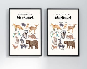 May include: Two framed art prints featuring watercolor illustrations of woodland animals. The prints include a fox, hedgehog, owl, deer, raccoon, beaver, and bear, with the text "ANIMALS OF THE WOODLAND".
