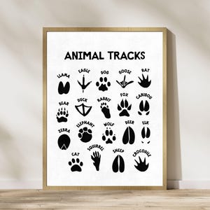 May include: A framed print featuring the words "ANIMAL TRACKS" above illustrations of animal footprints. The black footprints are labeled with animal names like "dog," "cat," and "bear" on a white background. The frame is a light brown color.