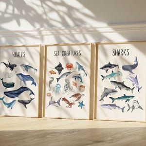 Sea Creatures Poster 3er-Set | Wale und Haie Drucke | Ocean Themen-Kinderzimmer | Nautische Meerestiere | Edukative Wandkunst | Zoologie
