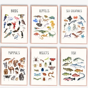 Juego de 6 impresiones de clasificaciones de animales / Imprimibles para educación en el hogar / Impresiones educativas sobre animales / Montessori sobre la naturaleza / Decoración de sala de juegos para niños sobre la naturaleza
