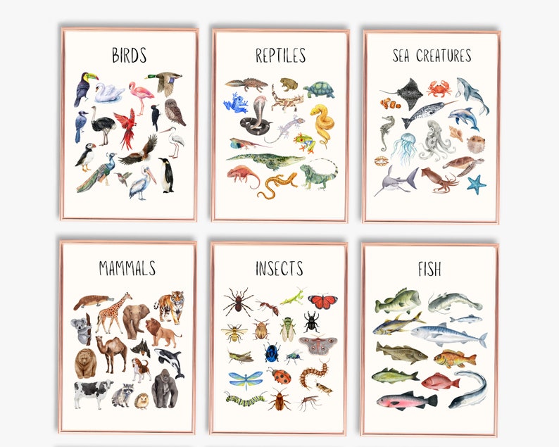 Animal Classifications Prints Set of 6 Homeschool Printable Animal ...