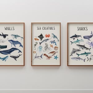 Sea Creatures Poster 3er-Set | Wale und Haie Drucke | Ocean Themen-Kinderzimmer | Nautische Meerestiere | Lernwand | Wasserdruck