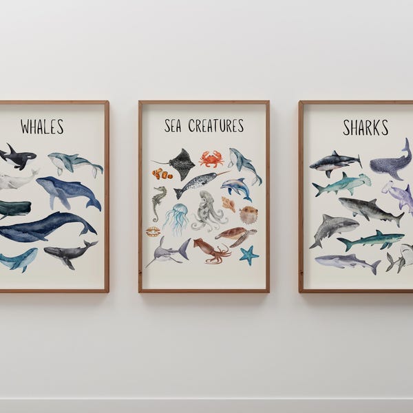 Sea Creatures Wall Art: Whales and Sharks Prints for Ocean Themed Nursery, Educational Marine Decor, Aquatic Zoology Posters