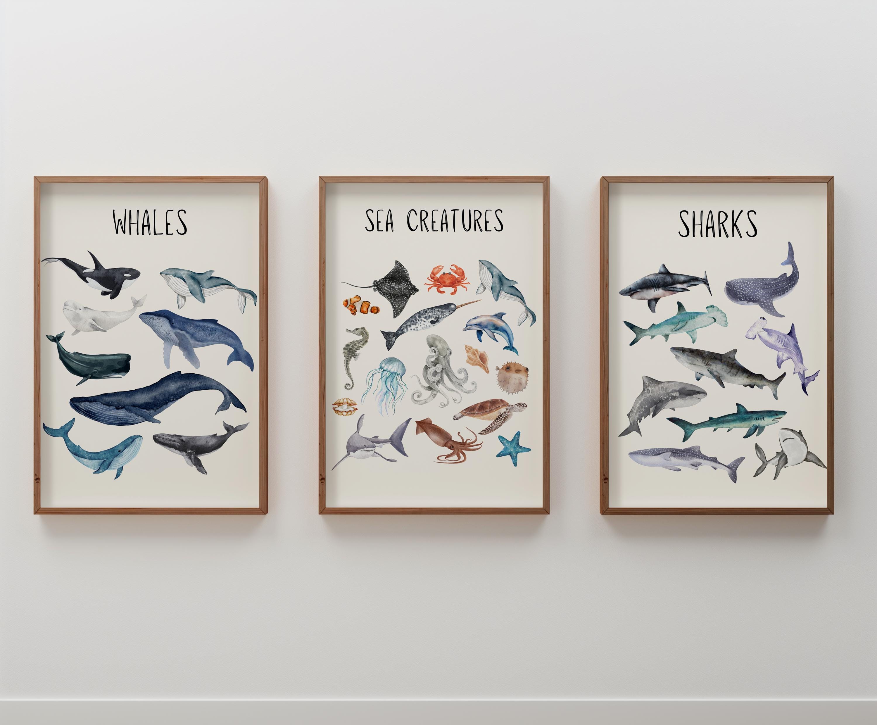 Sea Creatures Poster Set of 3 | Whales and Sharks Prints | Ocean Themed Nursery | Nautical Marine Animals | Educational Wall | Aquatic Print