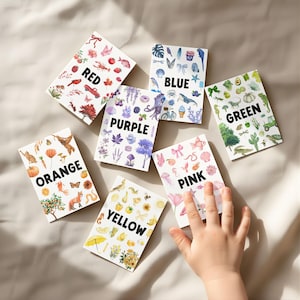 Puede incluir: Siete tarjetas rectangulares, cada una etiquetada con un color: Rojo, Azul, Verde, Naranja, Morado, Rosa y Amarillo. Cada tarjeta presenta ilustraciones en acuarela de objetos del color correspondiente. La mano de un niño toca la tarjeta rosa.